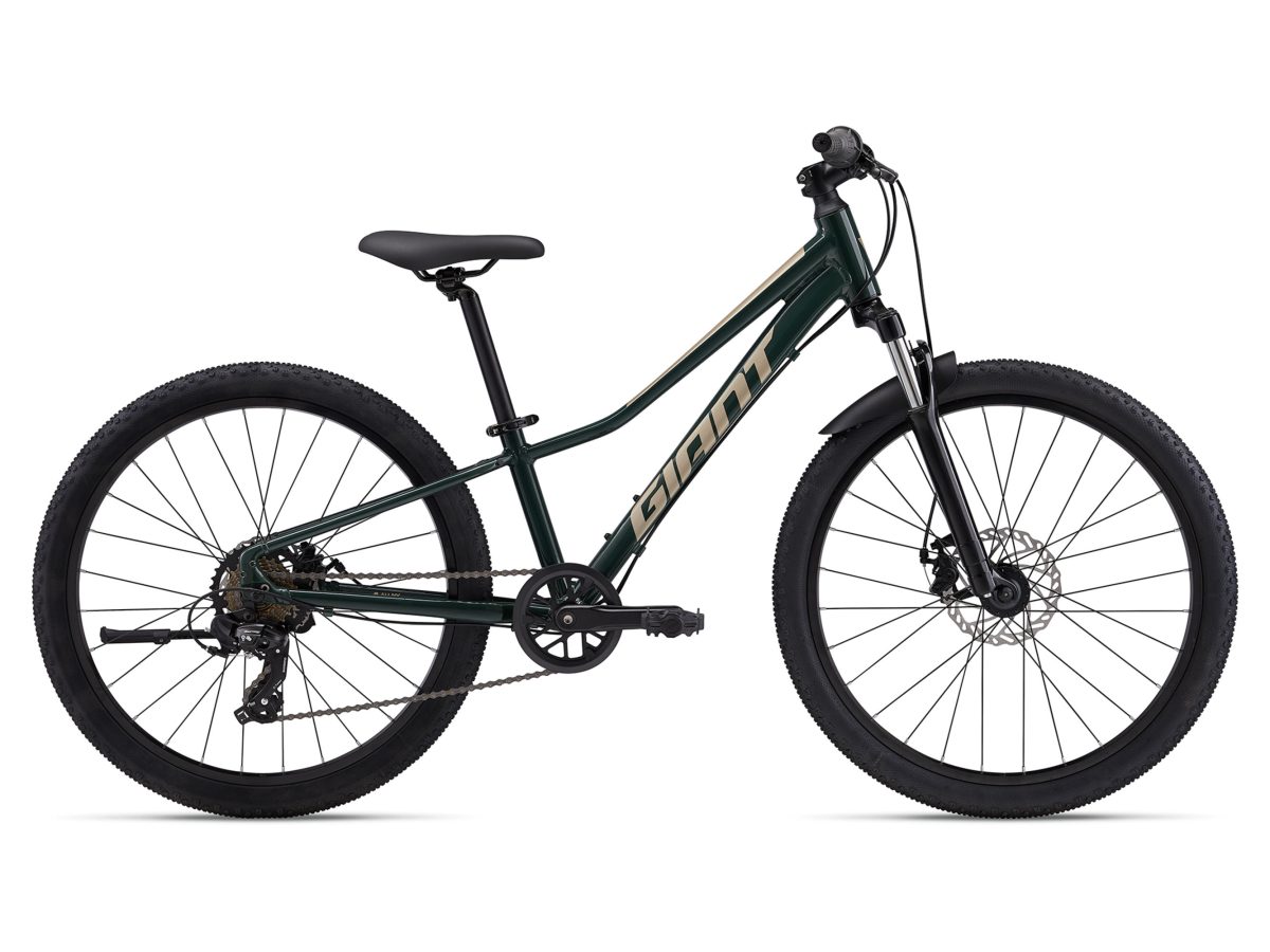 Talon 24 Disc